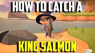 How to Catch a King Salmon | King Salmon ACNH | King Salmon Animal Crossing New Horizons | AC Salmon