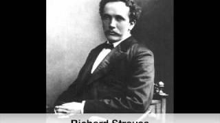 Richard Strauss: Symphony for Wind Instruments "The Happy Workshop" - Allegro (I)