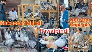 Kabootar Mandi Rawalpindi  | Dar pigeons club |