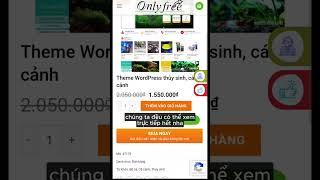 Dịch vụ thiết kế Website - Only Share Free