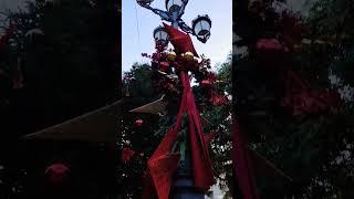 Torrevieja Christmas 2022 #spain #travel