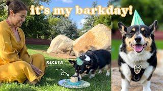  Birthday vlog: Celebrando a mi perro y haciendo su pastel de cumpleaños