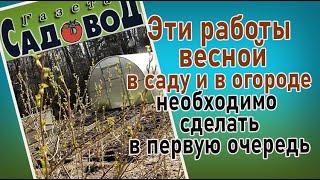 Эти работы весной в саду и в огороде необходимо сделать в первую очередь