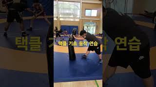 모석준레린이 #강원중학교 #강원중레슬링부 #택클연습