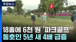 18홀에 단돈 6천 원 '파크골프'...동호인 5년 새 4배 급증 / YTN