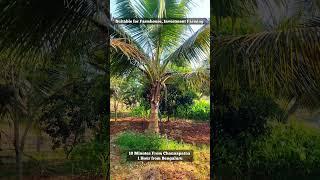 55 Gunta + 4 Gunta Free Fully Developed Farmland with Small Farmhouse Sale in Channapatna,Bengaluru