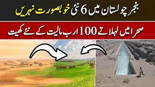 Cholistan Canal System From Indus River | PKR 100,000,000,000 Agriculture Revolution | Sun LO