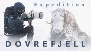 5 Day Solo Winter Expedition  ⎸ Wildlife Photography on Dovrefjell