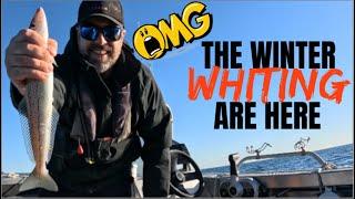 Big Winter Whiting Have Arrived, Fishing Off Metro Adelaide, South Australia