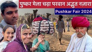 पुष्कर मेले में आये लाखों श्रद्धालु भारतीय संस्कृति का संगम। Pushkar Fair 2024