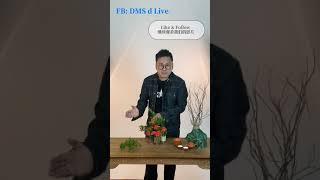 DMS d Live 【 第 3 集】蔬菜创意设计分享  教你如何用五行谷豆类与花朵的创意设计？ - 由名室内设计师  Desmond Chia -