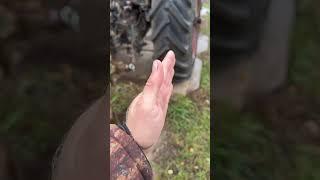 Видео для зрителя о плуге️ #automobile #мтз #д240 #farming #mtz #сельскоехозяйство #mtz82 #поле