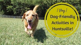 iHeartHsv VLOG: Dog-Friendly Activities in Huntsville