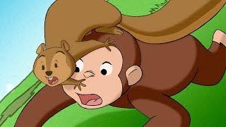 Curious George  1 Hour Compilation  HD  Videos For Kids