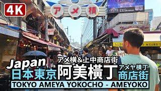 Japan／Tokyo Ameya Yokocho Shopping Street／Ameyoko 日本東京阿美橫丁商店街／アメヤ横丁／アメ横／上野中通商店街／上野 Ueno／Japan Travel