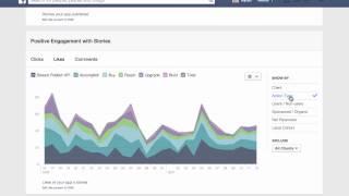 Facebook App Insights Overview