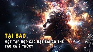 Cơ học lượng tử tiết lộ bí ẩn của ý thức | Khoa Học và Khám Phá