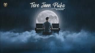 Tere Jaan Picho | Sahu | Urban Singh | Preet Zayne | Latest Punjabi sad Songs 2024