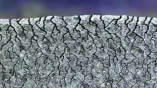 Retro Tilex Mildew Stain Remover Commercial 1994 Bathroom Cleaner Get To The Root