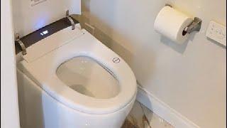 Smart Toilet with Built in Bidet Seat, Tankless Toilet with Auto Lid Opening Review