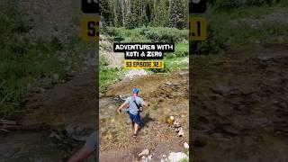 Adventures with Koti & Zero S3 Episode 32.1 #hiking #dailyvlog #adventuretravel