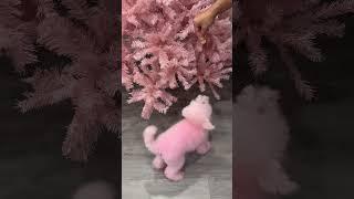 #explorepage #pinkpoodle #creativegrooming #pinkfriday2 #thinkpink #viral #pets #omg #wtf