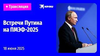 Владимир Путин проводит рабочие встречи на ПМЭФ-2025: прямая трансляция