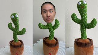 CRAZIEST Sagawa1gou Funny TikTok Compilation | Try Not To Laugh Watching Cactus Dance