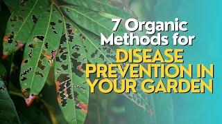 Top 7 Organic Methods for Disease Prevention in Your Garden