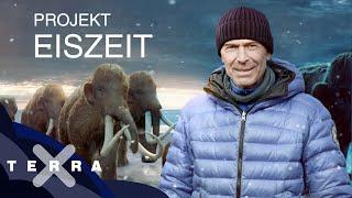 Zurück in die Eiszeit in drei Schritten | Dirk Steffens | Terra X