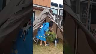 마당에 습식사우나 만들기 #화목난로 #티피텐트 #시골일상 #전원주택 #마당있는집