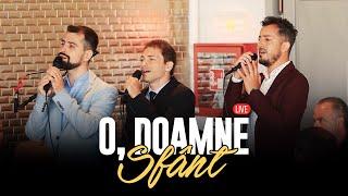 Christall Sound Trio - O, Doamne Sfânt (wedding song) (LIVE)