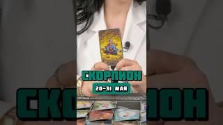 Скорпион ️ #таро #гороскоп #тарорасклады #таролог #зодиак #астрология #скорпион