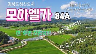 모아엘가 초학세권아파트 월세 (2000/70) 즉시입주 #경북도청신도시