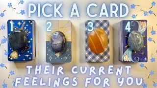 How They’re Currently Feeling About You| PICK A CARD In-Depth Love Tarot Reading