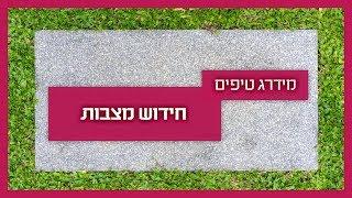 חידוש מצבות