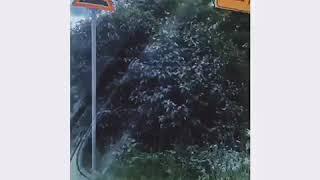 Welcome в стоматологию «Ваш доктор»
