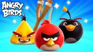 1 hour of Angry Birds Slingshotting!