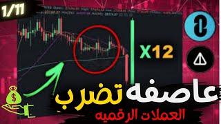 بيتكوين (Bitcoin) |الخوف -!انتظر صعود هذه العملات ؟ تحليل افضل العملات الرقمية للاستثمار 2024!|#btc