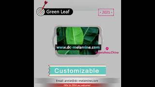 Customize Green Leaf Melamine Tray/Large Tray/Platter/Melamina, China