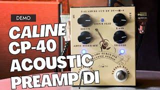 Caline CP-40 Acoustic Preamp DI Box pedal