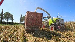 PASTONE 2024 - Claas Jaguar 970