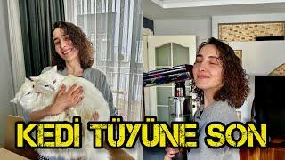 KEDİ TÜYÜNE SON! EVİMİ NASIL TEMİZ TUTUYORUM? (Kedi Bakımı, Evde Parazit Aşısı)