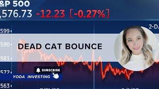 DEAD CAT BOUNCE