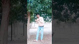 naya sal me ghumaibau plen se#gunjan singh shilpi raj #viral #ytshorts #shots #dance #video