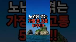 노년에 겪는 가장 큰 고통 5가지!! #삶의지혜 #행복한노후 #100세시대