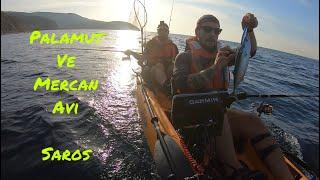 Kayak Fishing Red Sea Bream and Bonito - Hobie Mirage Oasis