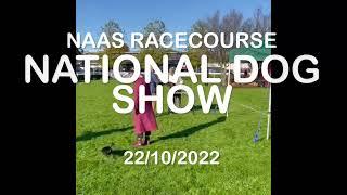 Dog Show in Naas,  Ireland 22/10/2022