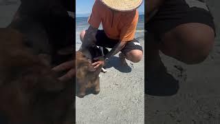 Part 2 Gabriola Sands Provincial Park #bisdak #everyone #followers #followforfollowback