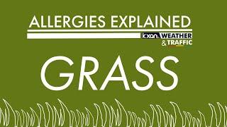 Allergies Explained - Grass